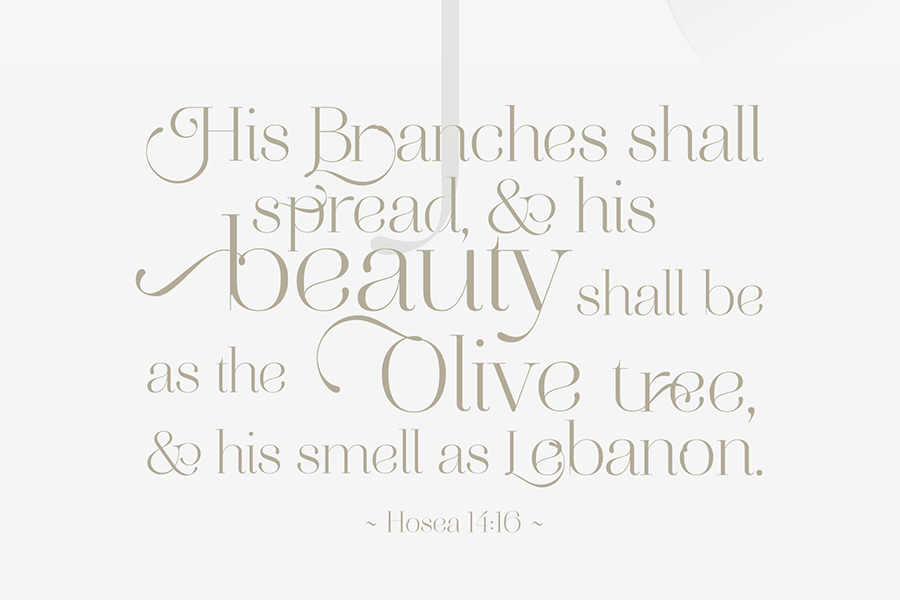 Packaging premium noir or – studio de design Tunisie – agence de communication tunisie • agence de com tunisie