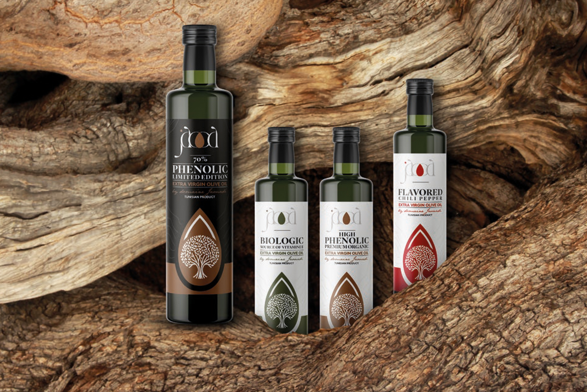 Palette luxe olive – direction artistique Tunisie – agence de communication tunisie • agence de com tunisie