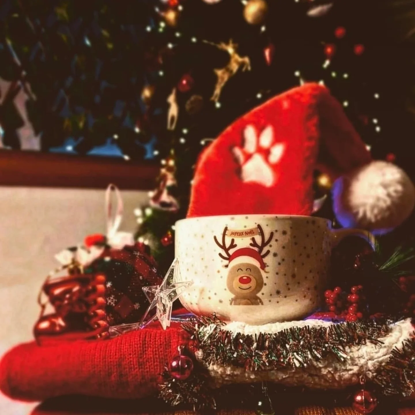 Instagram agence de communication Tunisie