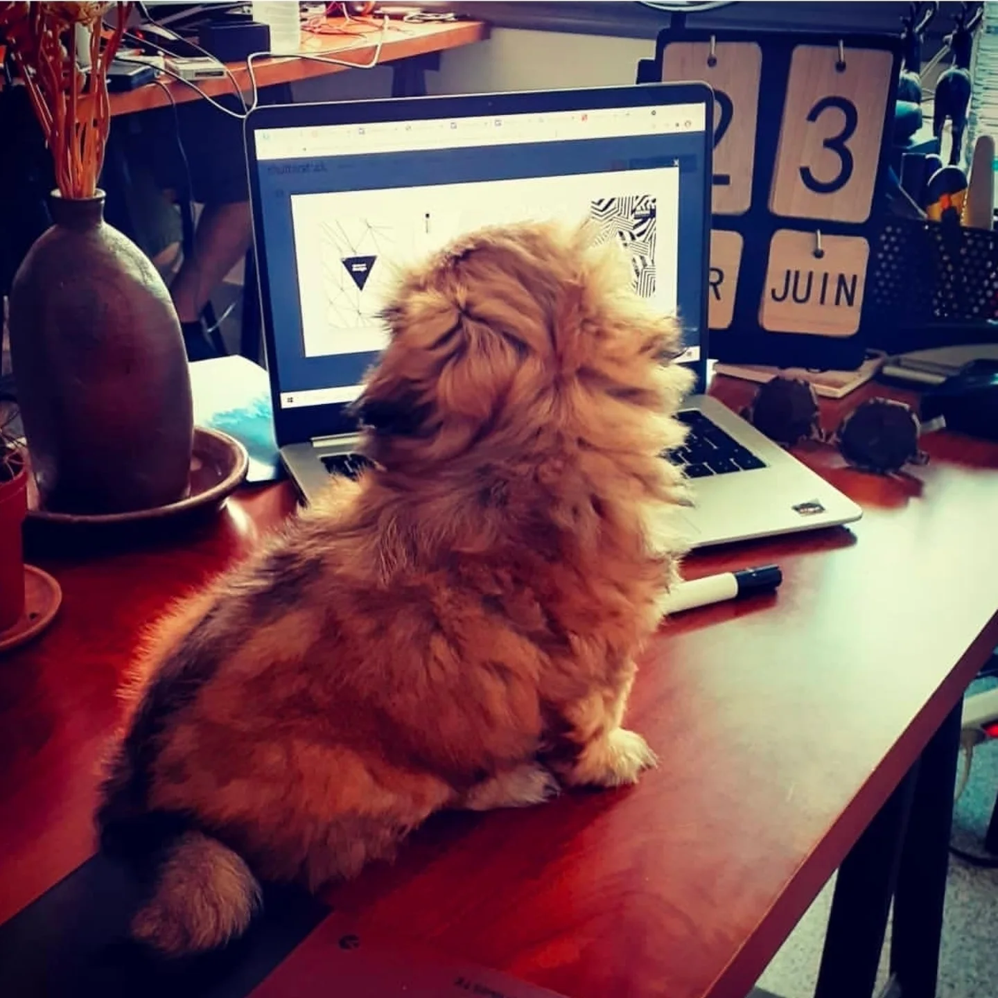 Instagram agence de communication Tunisie